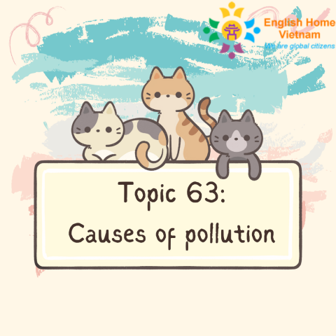 Topic 63 - Causes of pollution