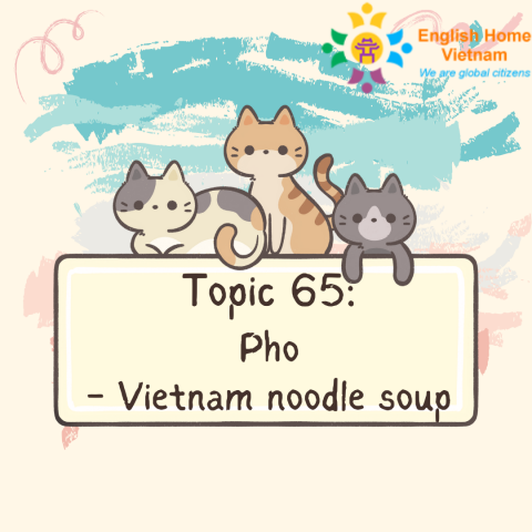 Topic 65 - Pho - Vietnam noodle soup