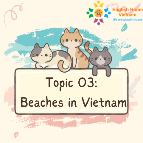 Topic 03- Beaches in Vietnam