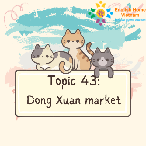 Topic 43 - Dong Xuan market